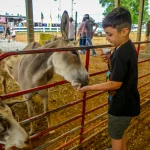 Petting-Zoo-13