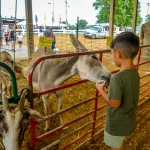 Petting-Zoo-14