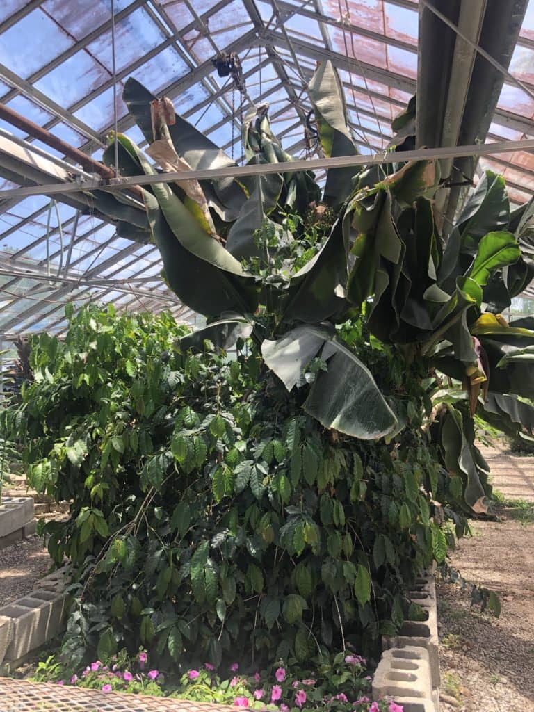 The Hidden Gem Of The Berea College Farm And Farm Store Ag News Kentucky