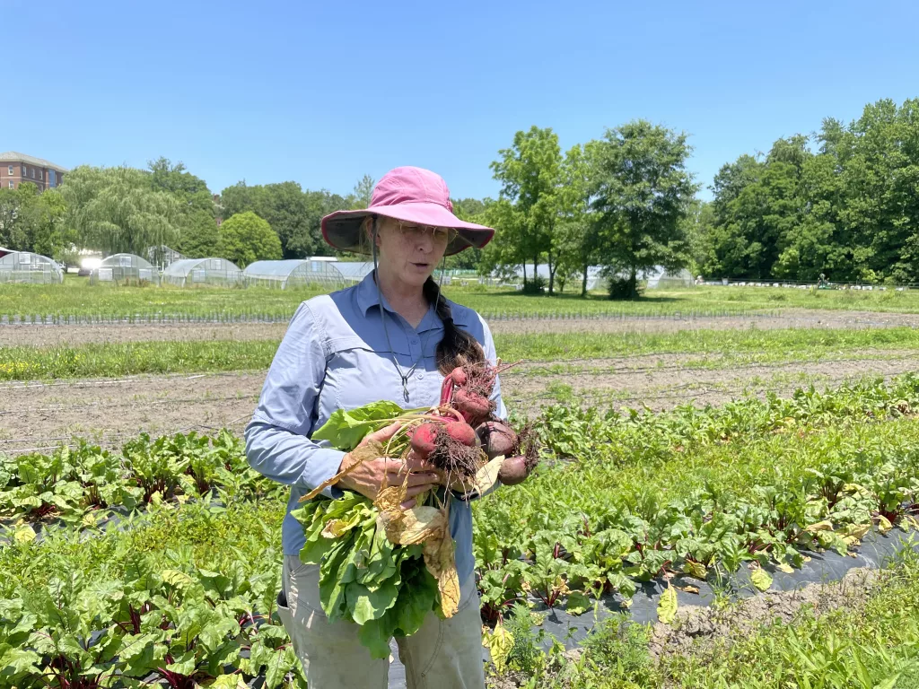 The Hidden Gem Of The Berea College Farm And Farm Store Ag News Kentucky