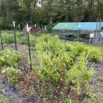 Grow-Appalachia-13