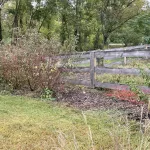 Grow-Appalachia-19