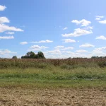 JD-Country-Milk-19