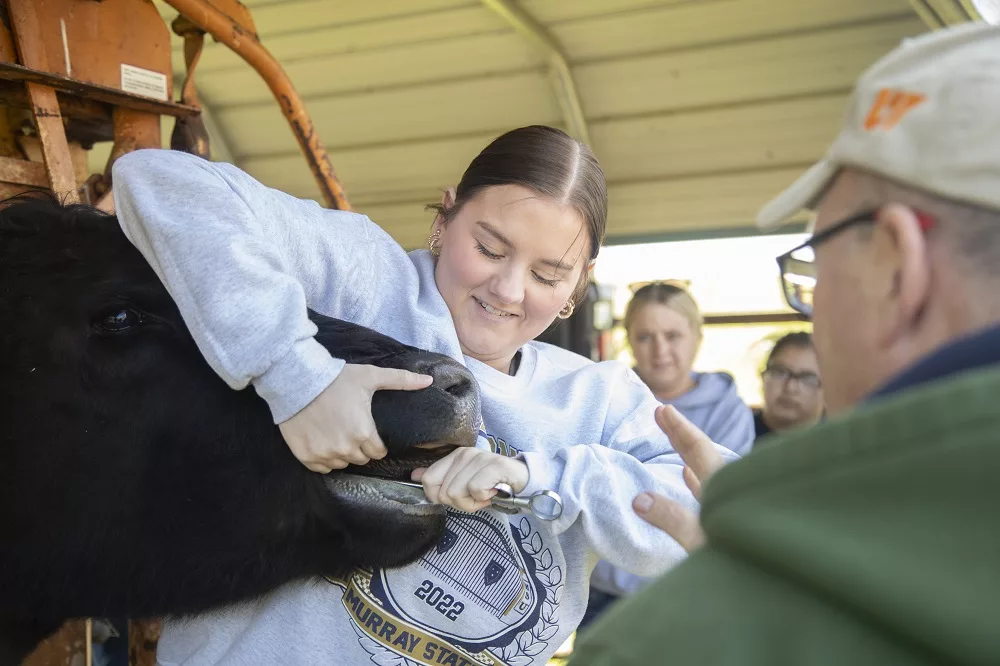 Murray State Announces Veterinary Medicine Task Force Ag News Kentucky
