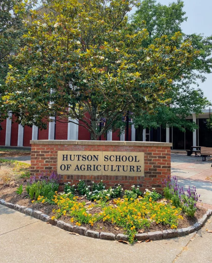 Updates On The Murray State University Vet School Ag News Kentucky