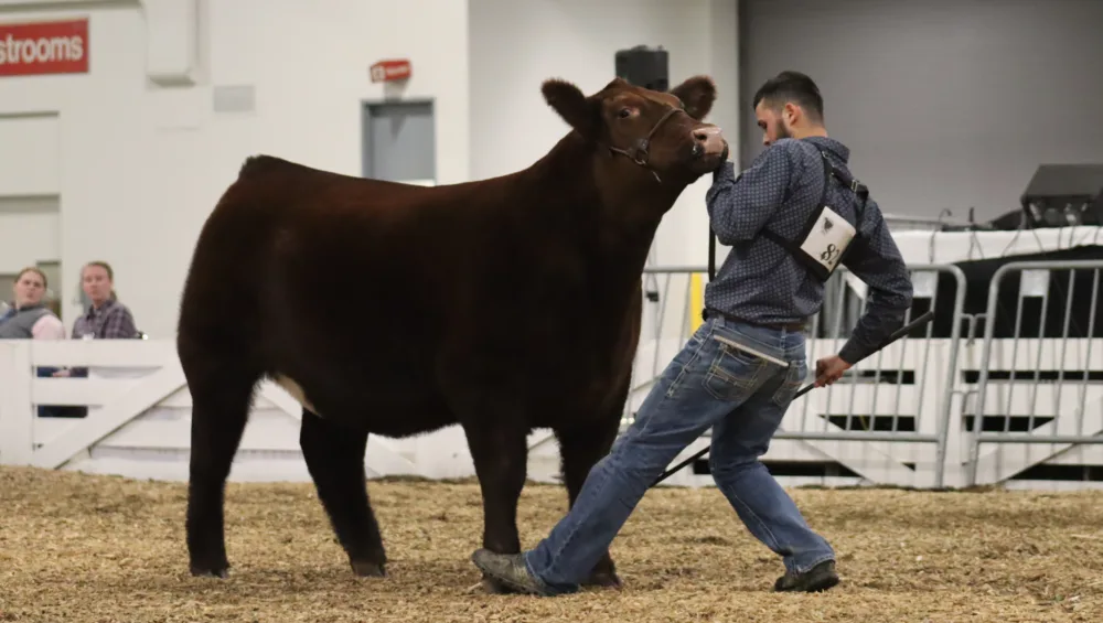 The Celebrations Taking Place For Beef Month Ag News Kentucky