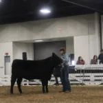2024-KY-Beef-Expo-56