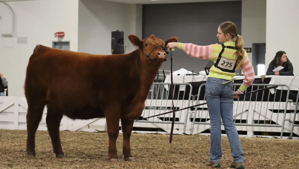 2024 KY Beef Expo Ag News Kentucky