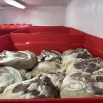 penn-country-hams-18