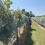 poca-terra-winery-10