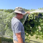 poca-terra-winery-16