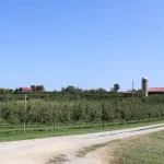 evans-orchard-108