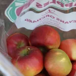 evans-orchard-176