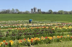 photo-apr-09-2025-12-40-14-pm
