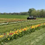 photo-apr-09-2025-12-38-57-pm