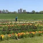 photo-apr-09-2025-12-40-11-pm