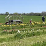 photo-apr-09-2025-12-41-23-pm