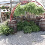 hardesty-farms-yae-26
