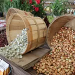 hardesty-farms-yae-39
