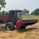 cereal-rye-cutting