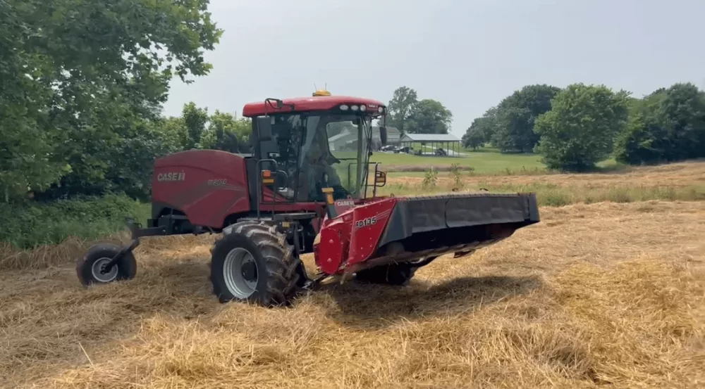 cereal-rye-cutting