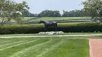 lanes-end-farm-44