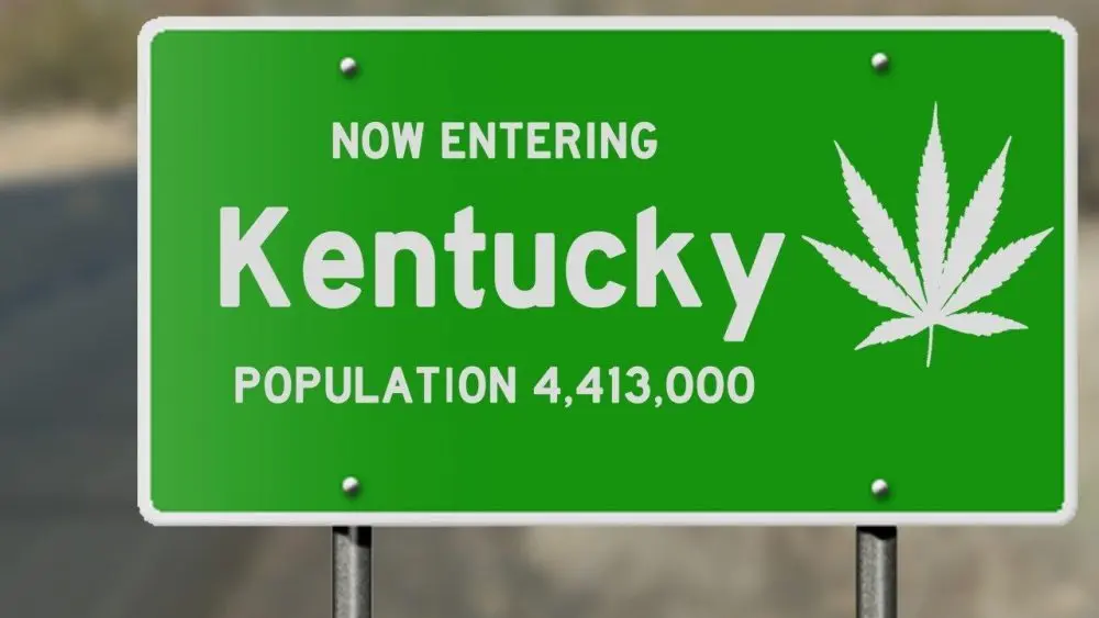 071525-cannabis-ky-1-jpg