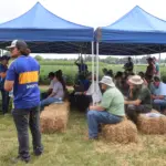 uk-field-day-2025-11