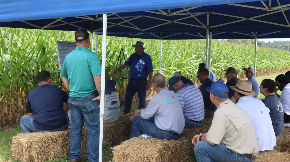 uk-field-day-2025-12