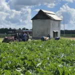 lowe-farms-1-36