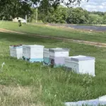 lowe-farms-1-48