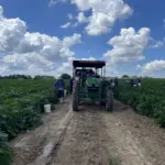 lowe-farms-1-53