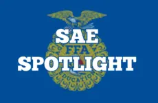 sae-spotlight