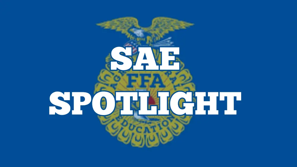 sae-spotlight