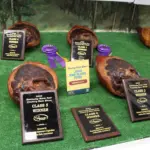 ksf-ham-show-84