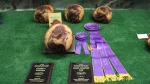 ksf-ham-show-86