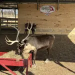 photo-nov-13-2025-11-00-57-am