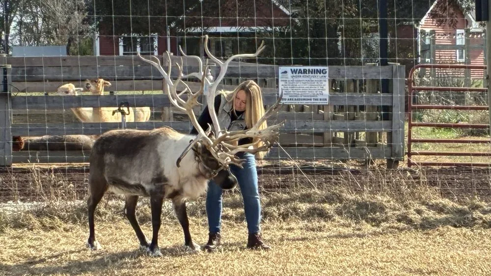 photo-nov-13-2025-11-05-04-am