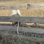 photo-nov-13-2025-11-12-43-am