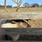 photo-nov-13-2025-11-14-15-am