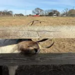 photo-nov-13-2025-11-14-18-am