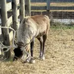 photo-nov-13-2025-11-14-58-am