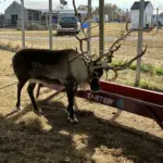 photo-nov-13-2025-11-18-51-am