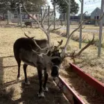 photo-nov-13-2025-11-18-59-am