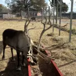 photo-nov-13-2025-11-19-18-am