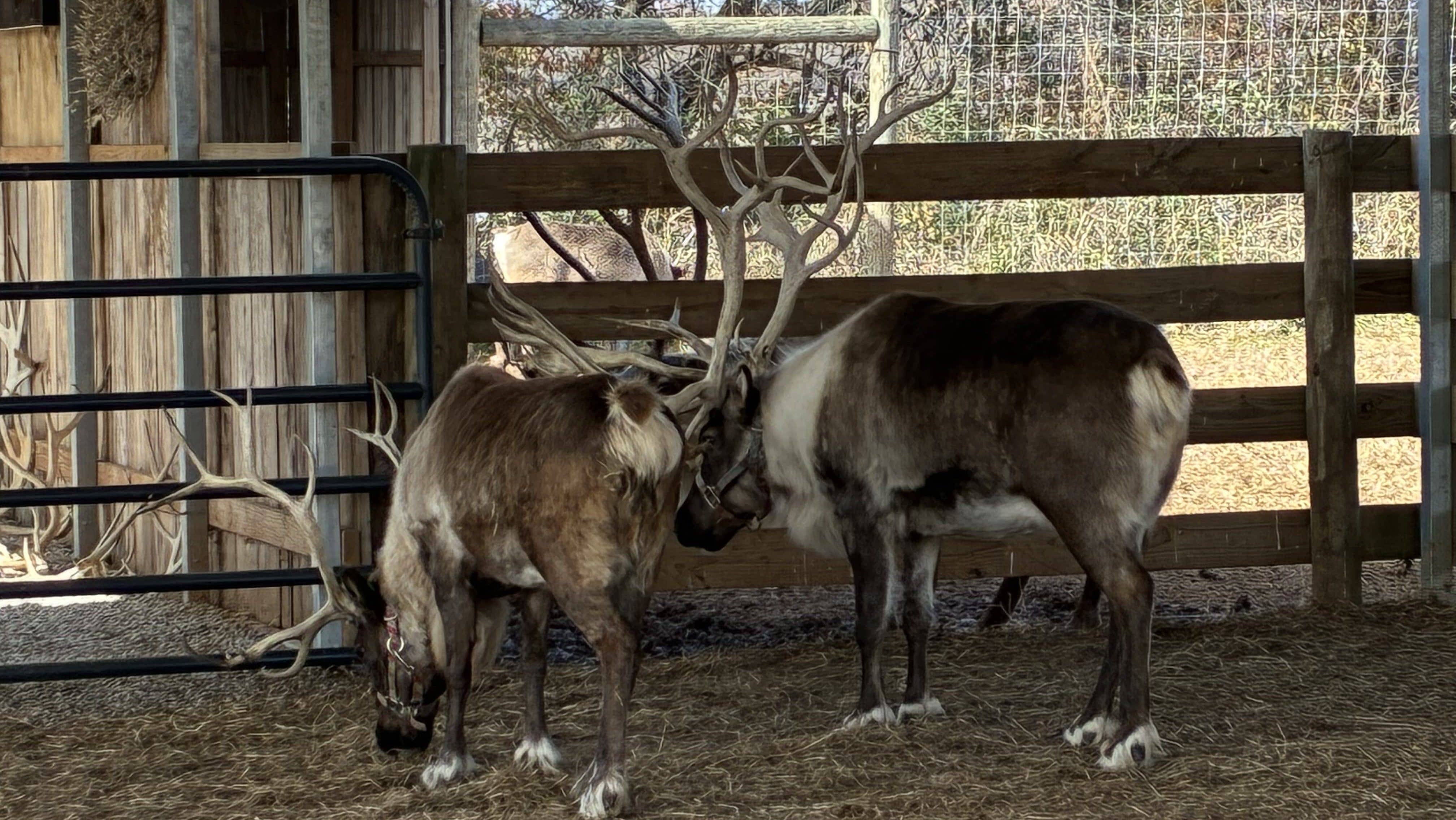 photo-nov-13-2025-11-40-49-am