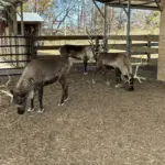 photo-nov-13-2025-11-48-19-am