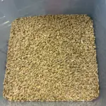 photo-feb-21-2026-4-42-48-pm