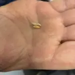 photo-feb-21-2026-4-43-09-pm