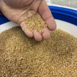 photo-feb-21-2026-4-44-09-pm